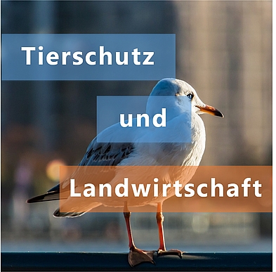 Tierschutz und Landwirtschaft