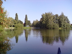 Fleete 020